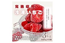 【採れたて瞬間冷凍！】滋賀県愛荘町産　冷凍いちご 3kg（500g×6）品種ミックス 冷凍 いちご 紅ほっぺ よつぼし みおしずく あまえくぼ　 BJ06