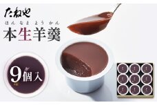 【たねや】本生羊羹 9個入 2025年4月上旬より順次発送 BN04
