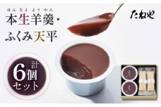 【たねや】本生羊羹 2・ふくみ天平 4　2025年4月上旬より順次発送　BN06