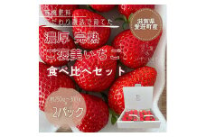 滋賀県愛荘町産　いちご食べ比べセット 品種おまかせ BJ01
