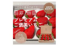 滋賀県愛荘町産　いちご 大粒ギフトボックス 品種おまかせ BJ02