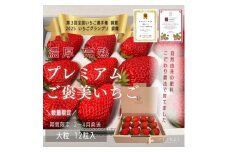完熟いちご大粒ギフトボックス 品種おまかせ　滋賀県愛荘町産 2026年２月～2026年４月頃発送 BJ02