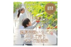 いちご狩り　ペアご招待券 BJ04