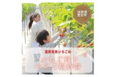 いちご狩り　ペアご招待券　期間2026年３月末頃～2026年５月末日頃（いちご狩りシーズン期間内） BJ04