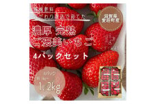 滋賀県愛荘町産　いちご 約250～300g×4パック 品種おまかせ BJ07