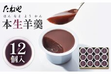 【たねや】本生羊羹 12個入  2025年4月上旬より順次発送 BN10