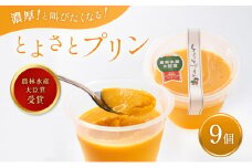 【農林水産大臣賞受賞】とよさとプリン満足セット（9個入り）