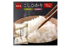 【令和7年産新米】【先行受付開始】滋賀県産こしひかり BG無洗米 5kg  ふるさと応援特別米 無洗米 お米 こめ コメ おこめ 白米 コシヒカリ 2025年10月より順次出荷開始