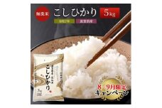 【9月末までの限定価格】【令和7年産新米】【先行受付開始】滋賀県産こしひかり BG無洗米 5kg 無洗米 お米 コメ おこめ 白米 コシヒカリ 2025年10月より順次出荷開始 cp2509