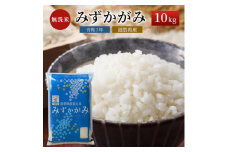 【令和7年産新米】【先行受付開始】滋賀県産 みずかがみ BG無洗米 10kg ふるさと応援特別米  無洗米 お米 こめ コメ おこめ 白米 2025年9月下旬より順次出荷