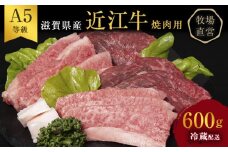 【近江牛 西川畜産】A5ランク雌牛 焼肉用 約600g （モモ・カタ・ウデ・バラ系等）