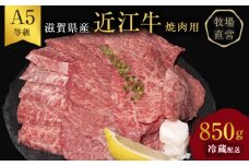 【近江牛 西川畜産】A5ランク雌牛 焼肉用 約850g （モモ・カタ・ウデ・バラ系等）