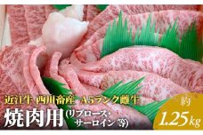 【近江牛 西川畜産】A5ランク雌牛 焼肉用  約1.25kg （リブロース・サーロイン等）