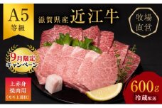 【9月末までの限定価格】【近江牛 西川畜産】A5ランク雌牛　上赤身焼肉用　約600g ふるさと納税 お肉 牛肉 バーベキュー モモ ブランド牛 cp2509