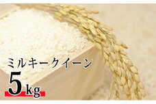令和6年環境こだわり近江米ミルキークイーン5kg（無洗米）