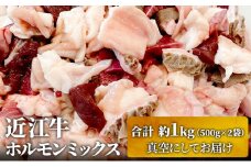 近江牛ホルモンミックス　合計約1kg