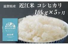 【定期便】令和7年産新米　滋賀県豊郷町産　近江米 コシヒカリ　10kg×5ヶ月 お米 白米 ごはん ライス 主食 炭水化物 おにぎり 