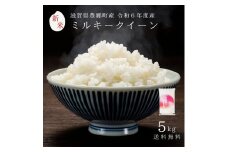 令和6年産　ミルキークイーン5kg　お米 米 精米 白米