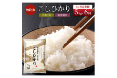【(8/26～開始！)9月末までの限定価格】【令和7年産新米】【先行受付開始】滋賀県産 定期便 6ヶ月 こしひかり BG無洗米 5kg 無洗米 お米 コメ おこめ 白米 コシヒカリ 6回 お楽しみ cp2509