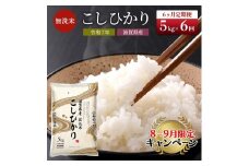 【9月末までの限定価格】【令和7年産新米】【先行受付開始】滋賀県産 定期便 6ヶ月 こしひかり BG無洗米 5kg 無洗米 お米 コメ おこめ 白米 コシヒカリ 6回 お楽しみ cp2509