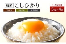 【定期便】令和7年産　豊かな郷の近江米（コシヒカリ）5kg×4ヶ月連続 お米 4回 箱入り 