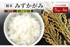 【定期便】令和7年産　豊かな郷の近江米（みずかがみ）5kg×4ヶ月連続 お米 4回 箱入り 