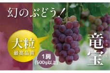 【令和7年産予約】幻の赤ブドウ竜宝1房（500ｇ以上）