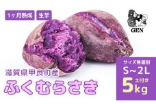 熟成 ふくむらさき（生芋）S～2Lサイズ 5kg 紫さつまいも