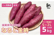 熟成 なると金時（生芋）S～2Lサイズ 5kg さつまいも