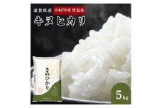【先行予約】令和7年産甲良米「キヌヒカリ」白米 5kg お米 こめ コメ おこめ 白米 キヌヒカリ 