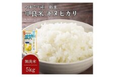 400個限定【令和7年産新米】甲良米 キヌヒカリ 無洗米 5kg