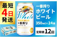 【定期便12回】キリン 一番搾り ホワイトビール 350ml × 24本  × 12ヶ月 [N-02102]/ ホワイトビール