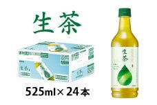 キリン 生茶 525ml ペットボトル × 24本 [B-00818]