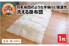 羽毛布団のような手触りで保温性抜群！洗える掛布団（DE-C100）[E-01101]