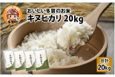 【令和6年産】キヌヒカリ（計20kg）おいしい多賀のお米 [C-00401]