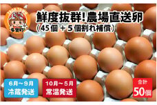鮮度抜群！農場直送「卵」 50個（45個 ＋ 卵割れ補償 5個）[A-01601]