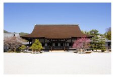 緑陰講座・特別拝観【大覚寺・令和６年６月】 　※寄附金は文化財保護に使途を限定しています。
