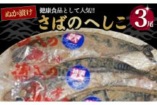 さばのへしこ 3尾 サバ 鯖 へしこ ぬか漬け 海鮮 加工品 魚 おかず 京都 防災 保存 備蓄 食 漬け 肉厚 山川商店 名産 魚介 発酵 ぬか漬け おつまみ つまみ 酒の肴 日本海の アンチョビ パスタ 郷土料理 熟成 伊根町 伊根 アンチョビ 保存食 糠漬け