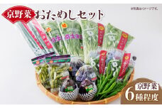 伝統の京野菜 おためしセット 6種程度 （野菜 詰め合わせ 京都 季節 旬 京野菜 栄養食 九条ネギ 万願寺 賀茂なす 京都府産 数量限定 冷蔵 サラダ 健康 お試し）