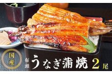 国産 うなぎ 蒲焼 2尾 特製ダレ付 冷凍 海鮮 魚介 京都 舞鶴 鰻 蒲焼 蒲焼き かば焼き 国産うなぎ 国産鰻 土用 丑の日 うしのひ うな重 うな丼 ひつまぶし 土用の丑の日 タレ付き