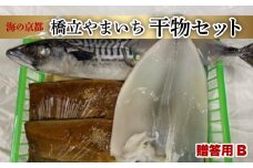 京都宮津産 干物ギフト (全3種 4枚 ) 贈答用 B[ 一夜干し 桜干し ]  サバ 鯖 イカ 冷凍 海の幸 贈答 プレゼント 化粧箱 贈り物 京都 海の京都 詰め合わせ (塩サバ×1本 イカ一夜干し×1枚 さば桜干し×2枚)
