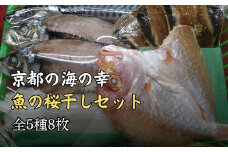 京都宮津産 干物 ギフト (全5種 8枚) 贈答用 C[ 一夜干し 桜干し ] 鯖 鰯 イカ 鯵 キダイ 冷凍 海の幸 贈答 プレゼント 化粧箱 贈り物 京都 海の京都 詰め合わせ (塩サバ×1本 イワシ桜干し×3匹 イカ一夜干し×1枚 アジ一夜干し×2枚 レンコダイ一夜干し×1枚)