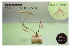 竹のバランストンボ1匹ver(中)   京都 産 竹 使用 竹とんぼ 雑貨 オブジェ 置物 インテリア　竹ストロー5本付き