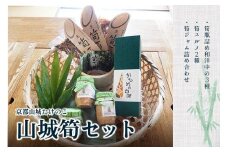 京都産 山城 筍 ( たけのこ ) セット (瓶詰 3種 スルメ2種 ジャム3個） 山椒 オイル漬け メンマ ギフト 贈答 おつまみ おかず ごはん 詰め合わせ