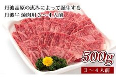 丹波牛 焼肉用3～4人前 （国産 和牛 黒毛和牛 牛肉 丹波牛 焼肉 焼肉用 500g 3-4人前 牛 赤身 冷凍 グルメ 贈答 ギフト お歳暮 お中元 アウトドア キャンプ バーベキュー BBQ お取り寄せ 京都 京丹波町 丹波高原 いづつ屋）