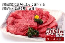 丹波牛 すき焼き用（赤身）（国産 和牛 黒毛和牛 牛肉 丹波牛 すき焼き すき焼き用 500g 3-4人前 牛 赤身 すきやき肉 冷凍 贈答 ギフト プレゼント お歳暮 お中元 割り下 京都 丹波高原  いづつ屋 すき焼き ）