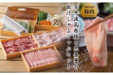 京丹波高原豚 豚肉3種類 しゃぶしゃぶ セット 2～3人前（食べ比べセット 鍋セット 豚しゃぶセット 野菜 蕎麦 付き 出汁  鍋 野菜付き 九条ネギ 厳選豚 厳選 ロース バラ ネギ 葱 豚ロース 豚肩ロース 豚バラ肉 京丹波 霜降り 特製出汁 ブランド豚 お歳暮 御歳暮 御中元 お中元 豚肉 豚しゃぶ 季節の野菜 赤身肉 京丹波町 簡単調理 ミールキット ギフト 小分け 出汁 