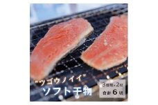 干物 3種類 × 2切 合計6切 ツゴウノイイ ソフト レンコダイ 鯖 サバ 銀鮭 シャケ 鮭 サケ 海鮮 魚介 おかず 晩酌 おつまみ 魚 魚介 冷凍 ギフト 贈答 プレゼント 化粧箱 京都 京都府 宮津産  海の京都 詰め合わせ 詰合せ 国産 セット 