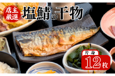 塩サバの干物 片身 計12枚 (1袋2枚入) 小分け 個包装 フィーレ 塩鯖 干物 ひもの 魚介 冷凍 おかず 弁当 焼き魚 海鮮 伊根町 伊根 ノルウェー サバ 鯖 さば 魚 フィレ 鯖切身 鯖切り身 さば切身 さば切り身 切り身 切身 魚介 おつまみ しお 冷凍食品 長期保存 小分け お取り寄せ フライパン グリル 蒲入水産 京都 京都府