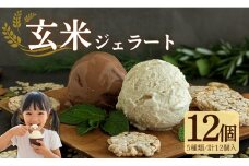 【卵・生乳 不使用】無添加 玄米ジェラート12個セット (グルテンフリー 乳 卵アレルギー対応 アイス アイスクリーム 無添加 アイス 詰め合わせ セット 宇治茶 抹茶 ほうじ茶 いちご クランベリー 菓子 スイーツ ビーガン ヴィーガン ココナッツミルク 苺 玄米 健康 おやつ 京都 デザート 夏